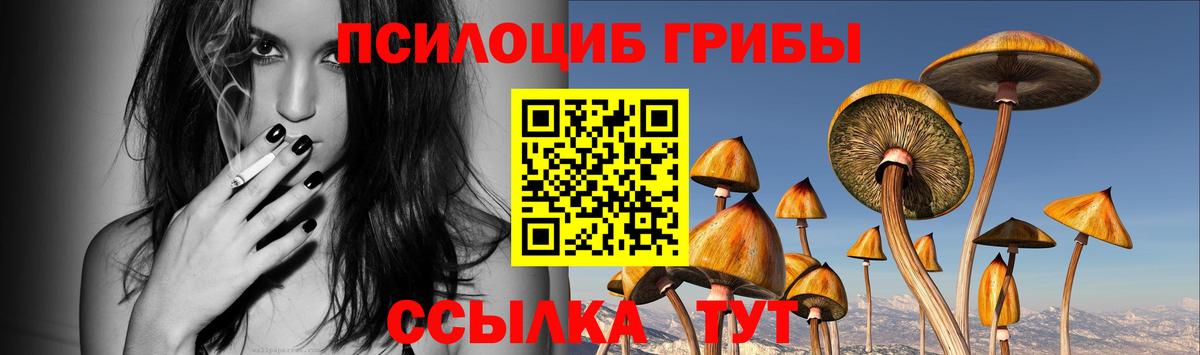 Псилоцибиновые грибы Cubensis  Вход с VPN  Зима  Галлюциногенные грибы Cubensis 